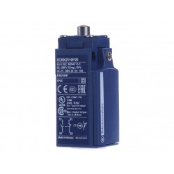 NSYDCM20 Contact de porte 10 A/500V - connection M20 - Contacts 1NO+1NF - Schneider Spacial SF