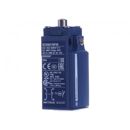NSYDCM20 Contact de porte 10 A/500V - connection M20 - Contacts 1NO+1NF - Schneider Spacial SF