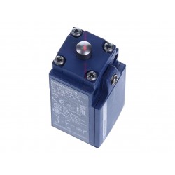 NSYDCM20 Contact de porte 10 A/500V - connection M20 - Contacts 1NO+1NF - Schneider Spacial SF