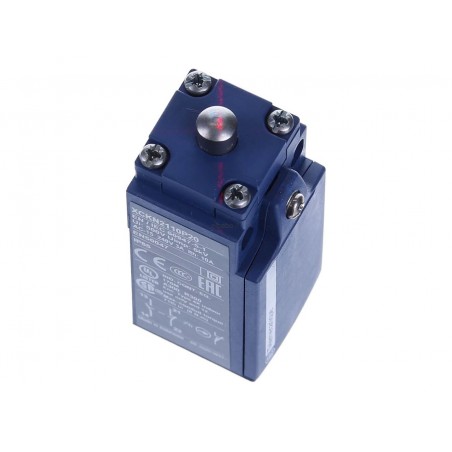 NSYDCM20 Contact de porte 10 A/500V - connection M20 - Contacts 1NO+1NF - Schneider Spacial SF
