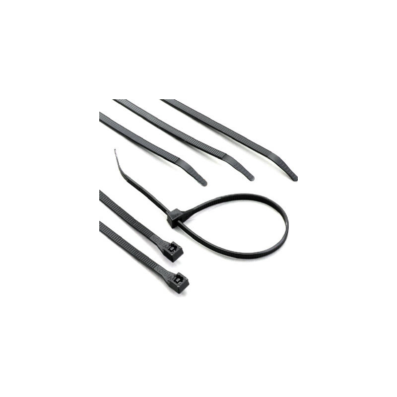 Tee Rilsan Arvi PV0901020P - Boite de 100 Colliers Rilsan 1020mm x 9mm en ...