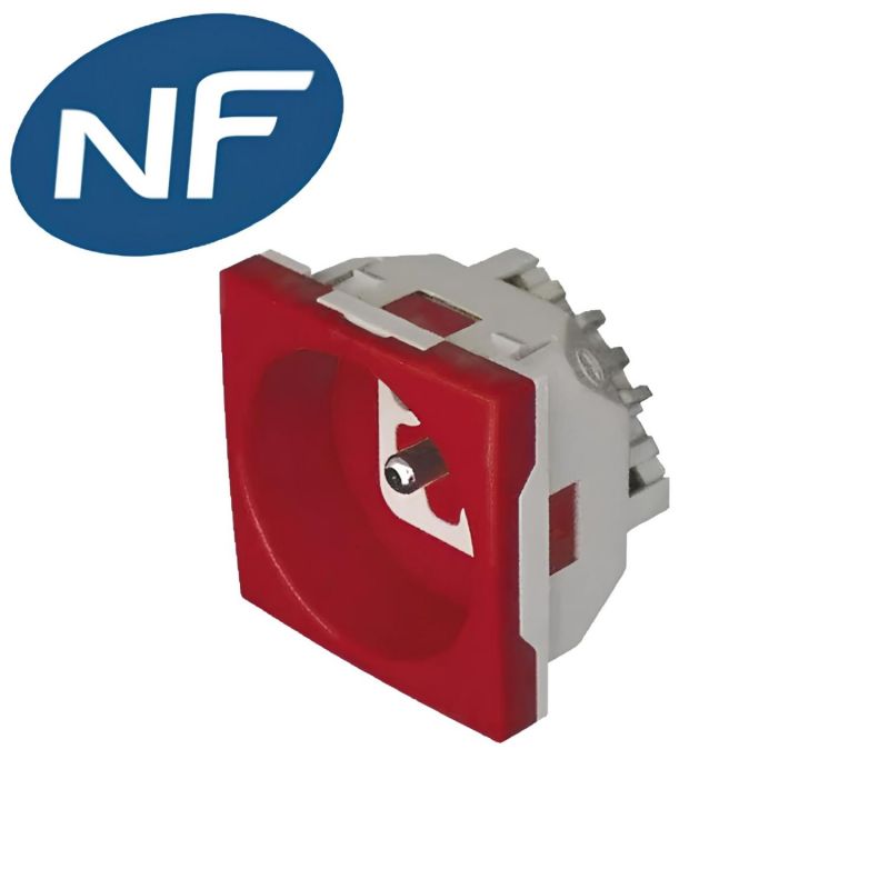 45116SVM Prise rouge 2P+T 230V - Détrompée - Format 45x45 à clippage direct sur goulotte - À vis - inclinée - Efapel