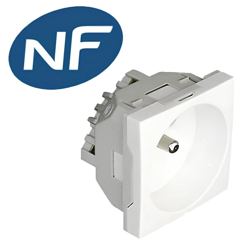 45112SBR Prise 2P+T 230V - Format 45x45 à clippage direct sur goulotte - À vis - Blanc - inclinée - Efapel