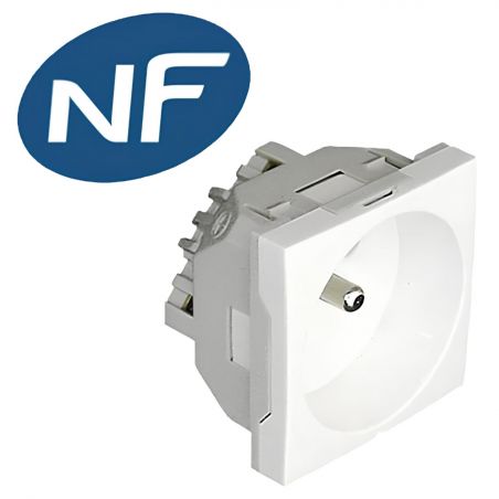 45112SBR Prise 2P+T 230V - Format 45x45 à clippage direct sur goulotte - À vis - Blanc - inclinée - Efapel