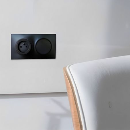 60397 EUR'OHM SQUARE Plaque de finition double anthracite