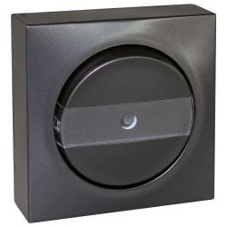 60915 EUR'OHM DUNE Bouton poussoir porte-étiquette lumineux anthracite