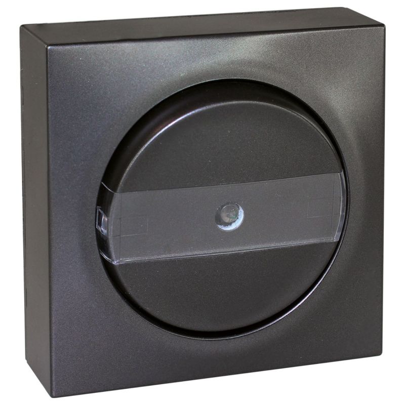 60915 EUR'OHM DUNE Bouton poussoir porte-étiquette lumineux anthracite