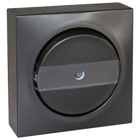 60915 EUR'OHM DUNE Bouton poussoir porte-étiquette lumineux anthracite