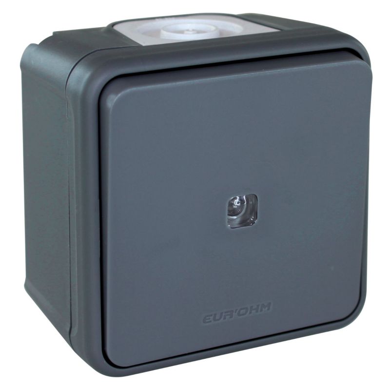 60801 EUR'OHM OXXO 	Interrupteur va-et-vient lumineux étanche saillie gris IP55