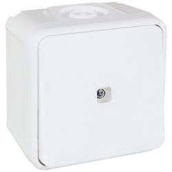 60811 EUR'OHM OXXO Interrupteur va-et-vient lumineux étanche saillie blanc IP55