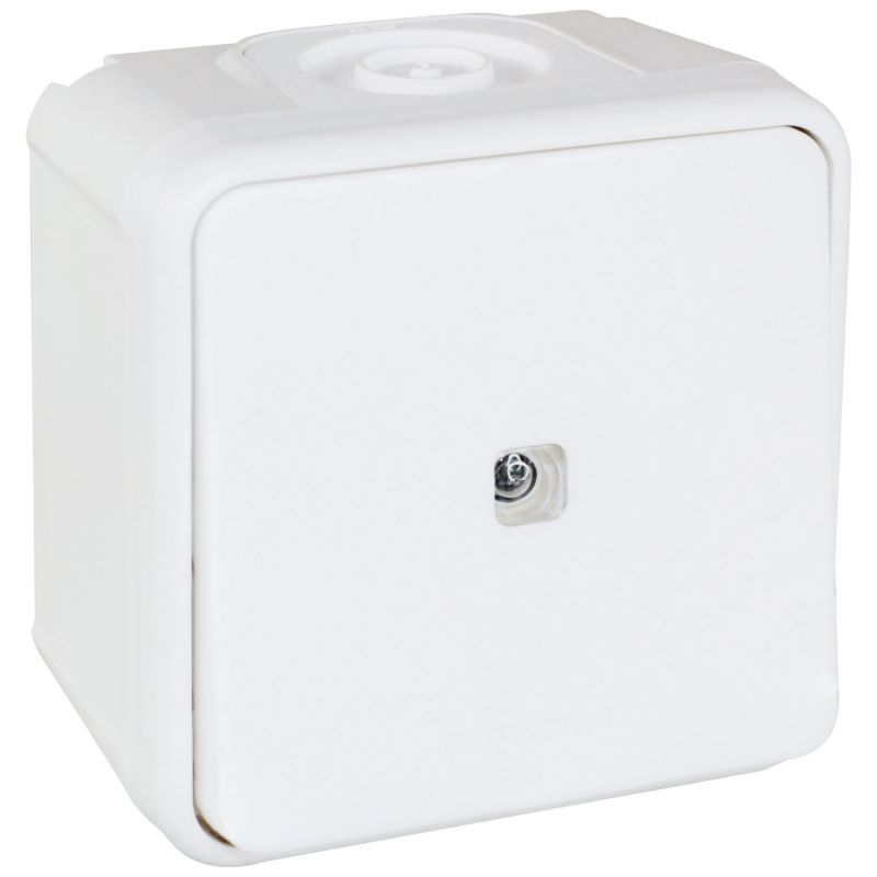 60811 EUR'OHM OXXO Interrupteur va-et-vient lumineux étanche saillie blanc IP55