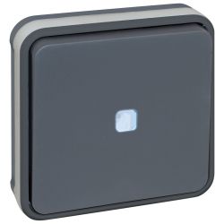 60881 EUR'OHM OXXO - Interrupteur va-et-vient lumineux encastré gris étanche IP55
