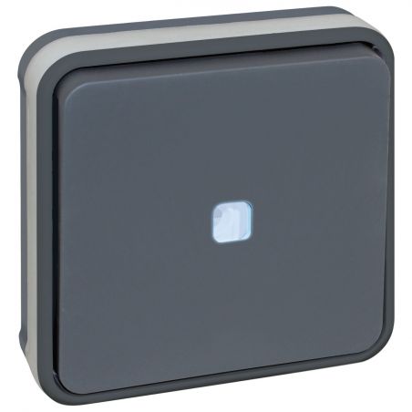60881 EUR'OHM OXXO - Interrupteur va-et-vient lumineux encastré gris étanche IP55
