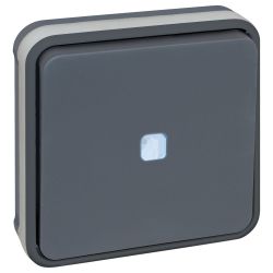 60884 EUR'OHM OXXO - Bouton poussoir lumineux encastré gris étanche IP55