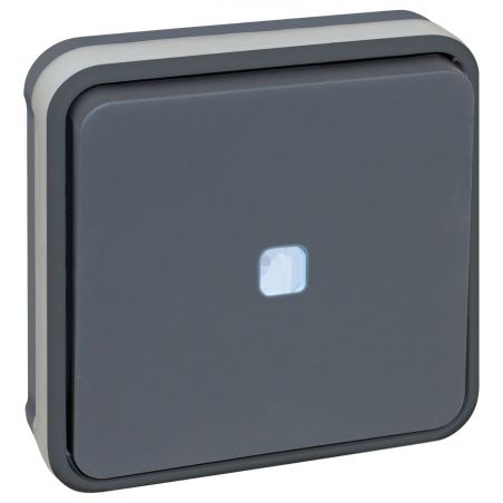 60884 EUR'OHM OXXO - Bouton poussoir lumineux encastré gris étanche IP55