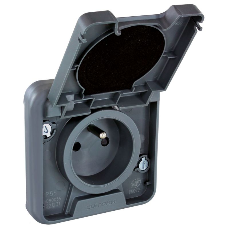 60895 EUR'OHM OXXO - Prise électrique étanche 2P+T gris saillie IP55