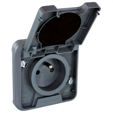 60895 EUR'OHM OXXO - Prise électrique étanche 2P+T gris saillie IP55