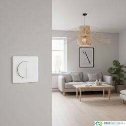 60213 EUR'OHM SQUARE double Interrupteur va et vient blanc à griffes