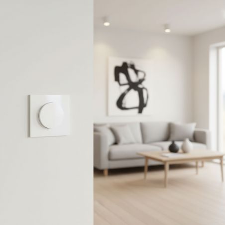60208 EUR'OHM SQUARE Bouton poussoir 10A blanc à griffes