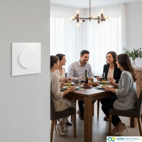 60208 EUR'OHM SQUARE Bouton poussoir 10A blanc à griffes