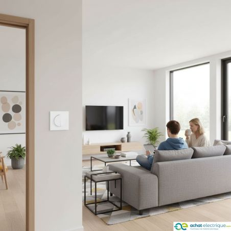 60211 EUR'OHM SQUARE double Bouton poussoir blanc