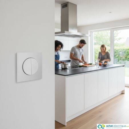 60411 EUR'OHM SQUARE Double Bouton poussoir Silver
