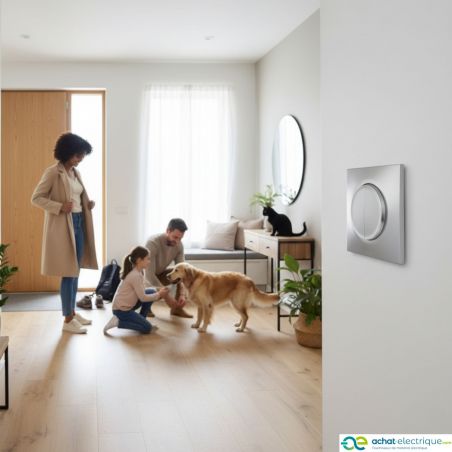 60411 EUR'OHM SQUARE Double Bouton poussoir Silver