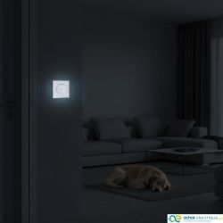 60203 EUR'OHM SQUARE Interrupteur va et vient 10A lumineux ou témoin blanc