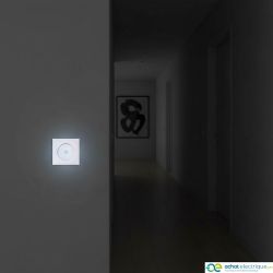60203 EUR'OHM SQUARE Interrupteur va et vient 10A lumineux ou témoin blanc
