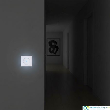 60203 EUR'OHM SQUARE Interrupteur va et vient 10A lumineux ou témoin blanc