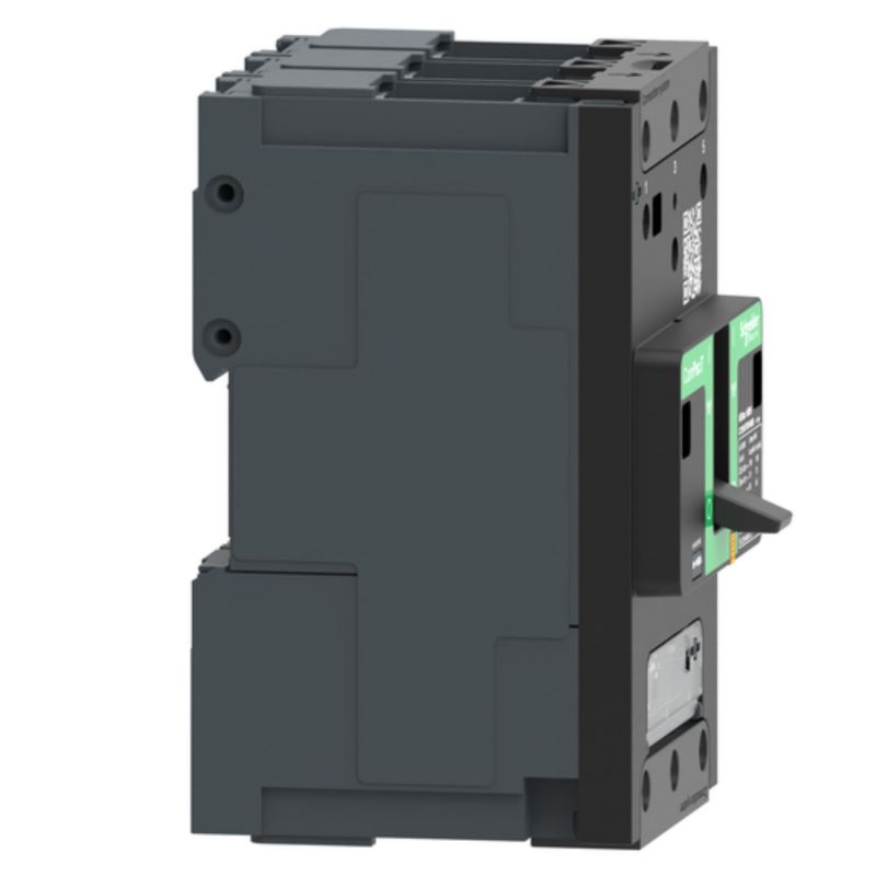 Schneider ComPact NSXmF Disjoncteur 63A TM-D 36kA 3P 3d - C11F3TM063B