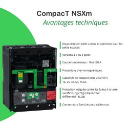C11H44V100B Schneider ComPact NSXm - disjoncteur 100A MicroLogic Vigi 4.1 - 70kA - 4P 4d - bornes pour cosses