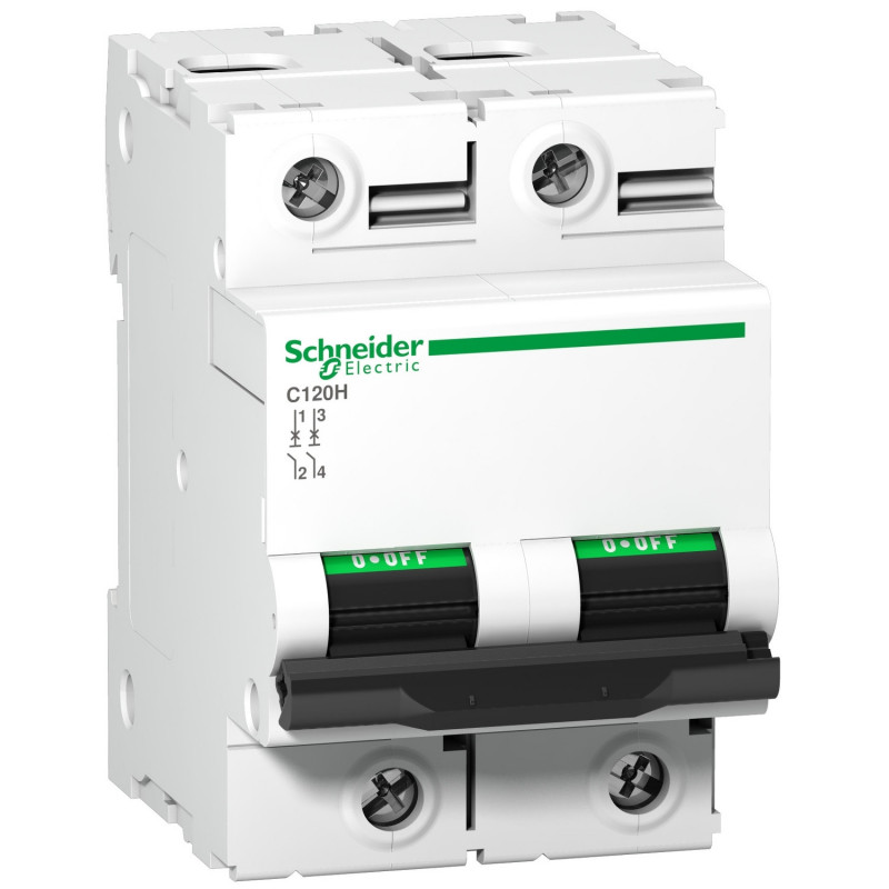 A9N18500 Schneider C120H disjoncteur bipolaire Schneider 63 A - 2P - courbe D - 15kA - À vis