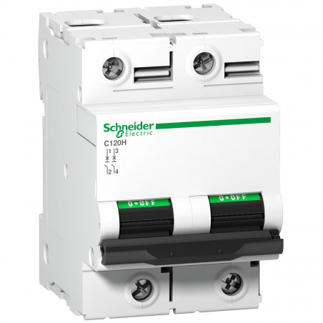 A9N18500 Schneider C120H disjoncteur bipolaire Schneider 63 A - 2P - courbe D - 15kA - À vis