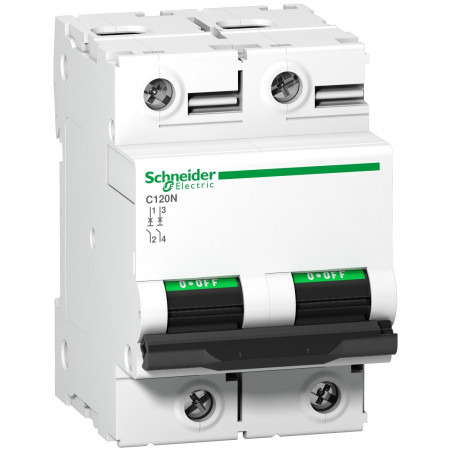 A9N18362 Schneider C120N disjoncteur bipolaire Schneider 100 A - 2P - courbe C - 10kA - À vis