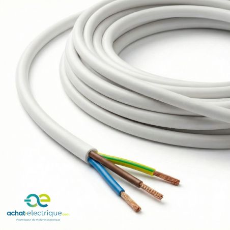 Câble électrique souple H05VVF 3G4 mm² BLANC – Couronne 50 m