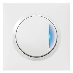 600710 Legrand - Dooxie One Va-et-vient avec témoin lumineux complet 1 poste 10A 250V livré avec plaque et griffes - Blanc