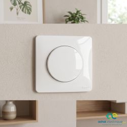 600004 Legrand - Dooxie Poussoir simple 6A 250V - Blanc