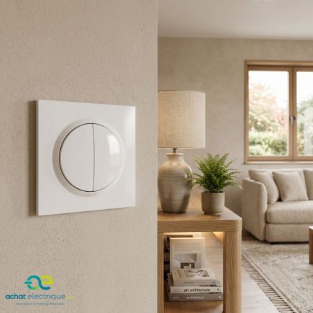 600731 Legrand - Dooxie One Transformeur 5 fonctions livré avec plaque carrée et griffes - Blanc