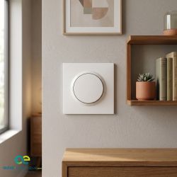 600705 Legrand - Dooxie One Poussoir complet 1 poste 6A 250V livré avec plaque et griffes - Blanc