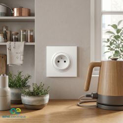 600728 Legrand - Dooxie One Prise de courant 2P+T easyréno faible profondeur 16A livrée avec plaque et griffes - Blanc