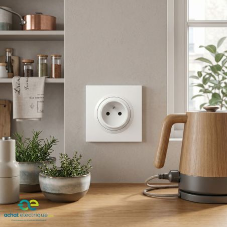 600728 Legrand - Dooxie One Prise de courant 2P+T easyréno faible profondeur 16A livrée avec plaque et griffes - Blanc