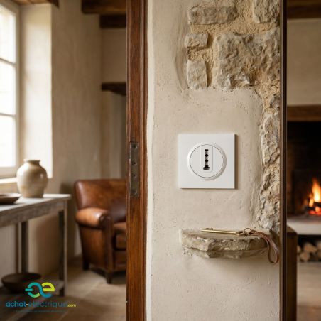 600768 Legrand - Dooxie One Prise téléphone en T livrée avec plaque et griffes - Blanc