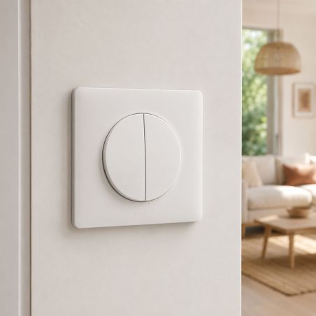 600002 Legrand - Dooxie Double interrupteur ou va-et-vient 10A 250V - Blanc