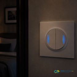 600730 Legrand - Dooxie One Transformeur 5 fonctions lumineux livré avec plaque carrée et griffes - Blanc