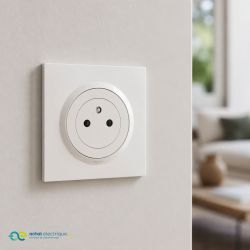 600735 Legrand - Dooxie One Prise de courant 2P+T Surface 16A livrée avec plaque et griffes - Blanc