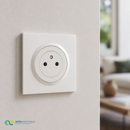 600735 Legrand - Dooxie One Prise de courant 2P+T Surface 16A livrée avec plaque et griffes - Blanc