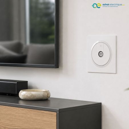 600751 Legrand - Dooxie One Prise TV étoile blindée livrée avec plaque et griffes - Blanc