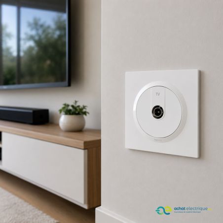 600751 Legrand - Dooxie One Prise TV étoile blindée livrée avec plaque et griffes - Blanc