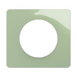 CP0501 Plaque de finition simple Legrand Céliane, coloris vert celadon